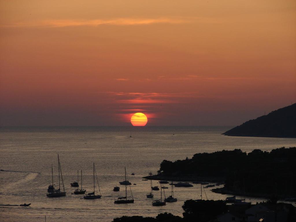 Villa Fio - Hvar Hvar Town Eksteriør bilde